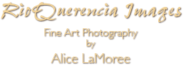 RioQuerencia Images, Fine Art Photography by Alice LaMoree